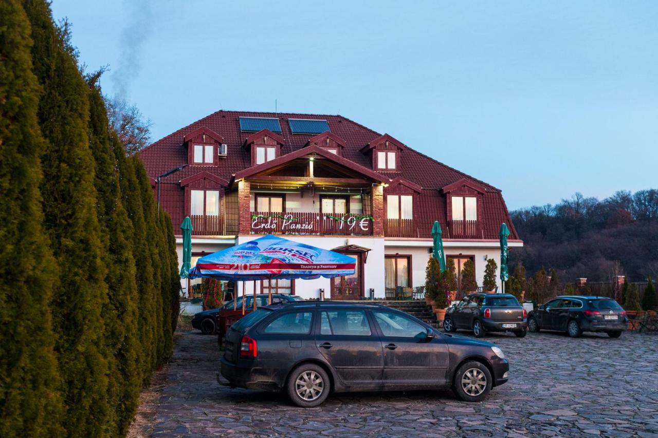 Pensiunea Si Restaurant Erdo Székelyudvarhely Kültér fotó