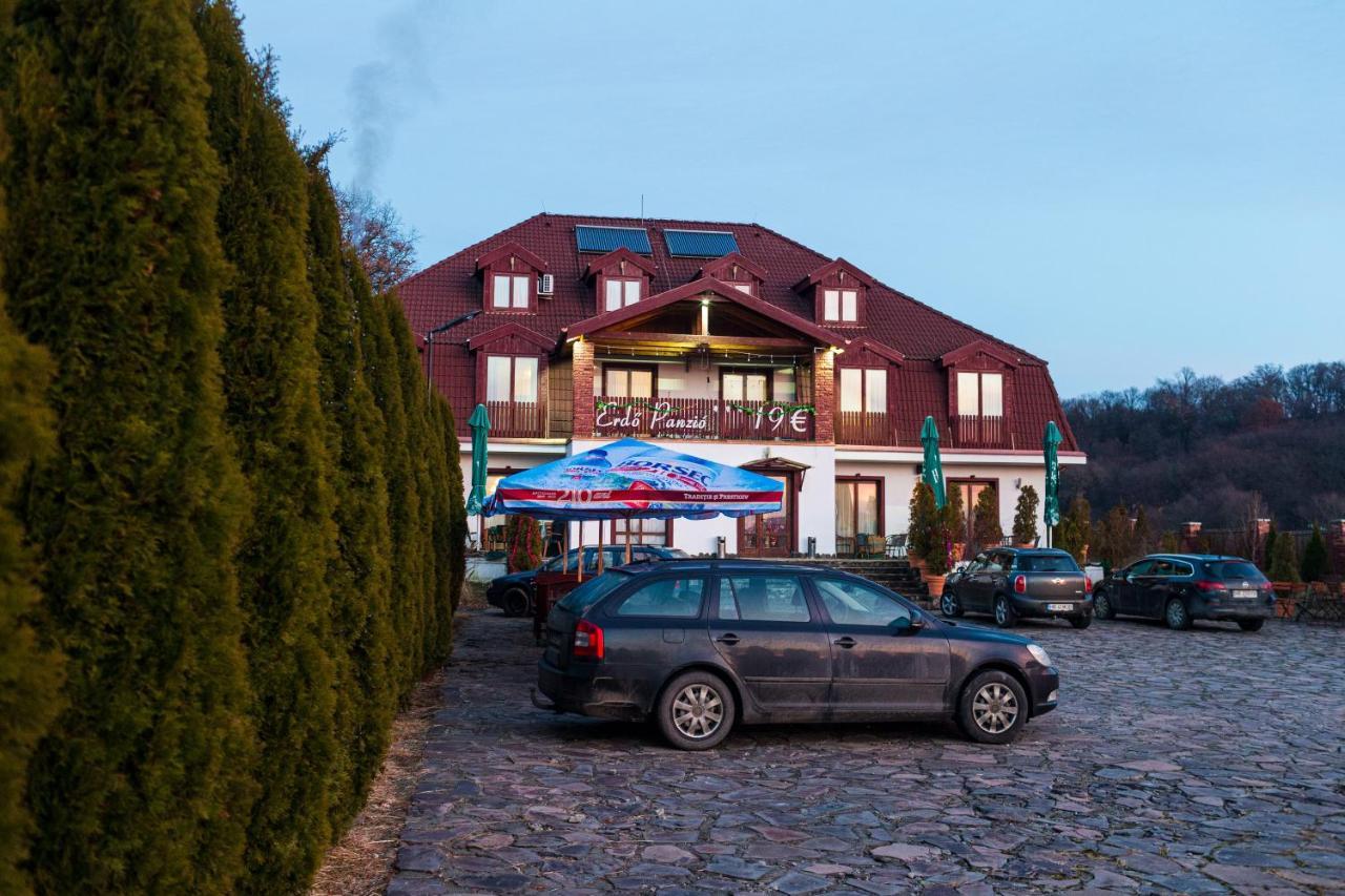 Pensiunea Si Restaurant Erdo Székelyudvarhely Kültér fotó